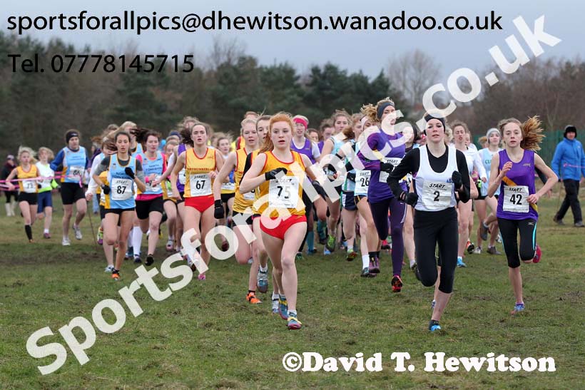 Intermediate girls 1. Photo: David T. Hewitson/Sports for All Pics